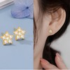 Epoch World 4 Pairs 925 Sterling Silver Earrings Gold Star