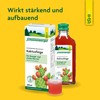 Schoenenberger - Kaktusfeige naturreiner Fruchtsaft - 1x 200 ml Glasflasche