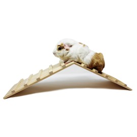 Wood Bridge for Small Animal Cage or Habitat - Guinea Pigs, Ferrets, Chinchillas, Hedgehog, Dwarf Rabbits and Other Small Animals