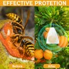 12Pack Wasp Repellent Outdoor - Natural Wasp Deterrent for Outdoor