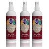 Wine Away Red Wine Stain Remover Spray - Natural Carpet
