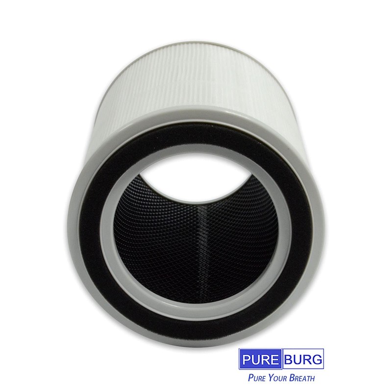 PUREBURG 2-Pack Replacement 4 in 1 High-Efficiency HEPA Filters Compatible