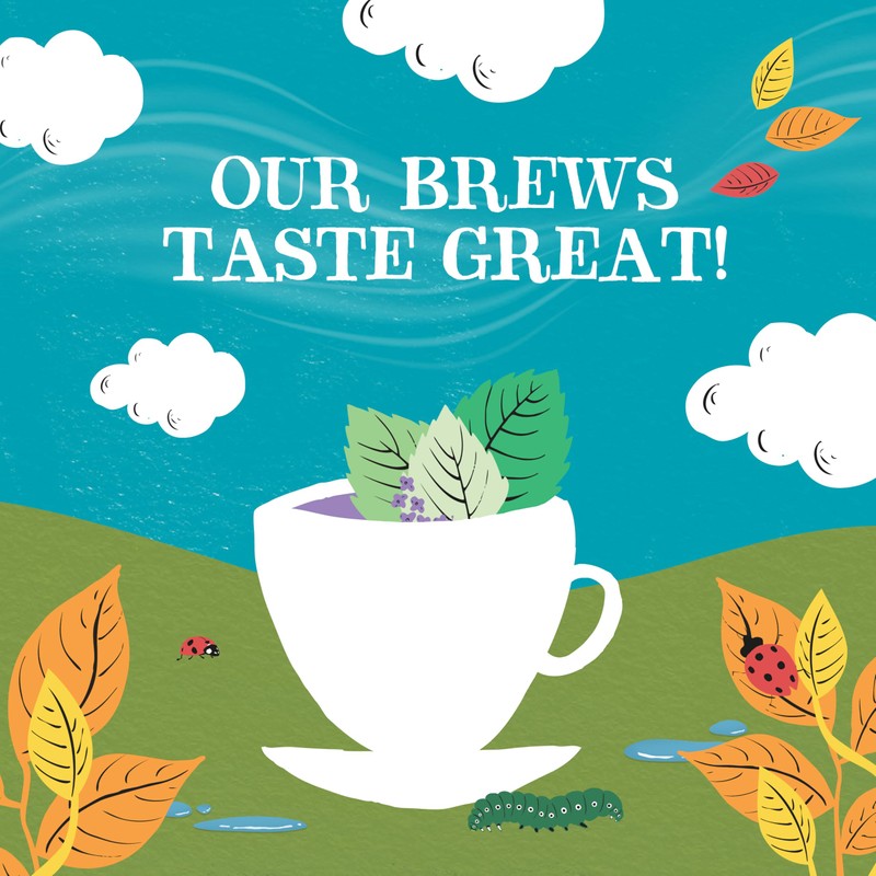 Clipper Tea Mint Herbal Teabags – Caffeine Free, USDA Organic,