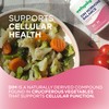 Wellsgoing DIM 200 mg – Daily Balance & Wellness Support