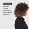 Kit Shampoo Mscara e leo LOral Professionnel Repair