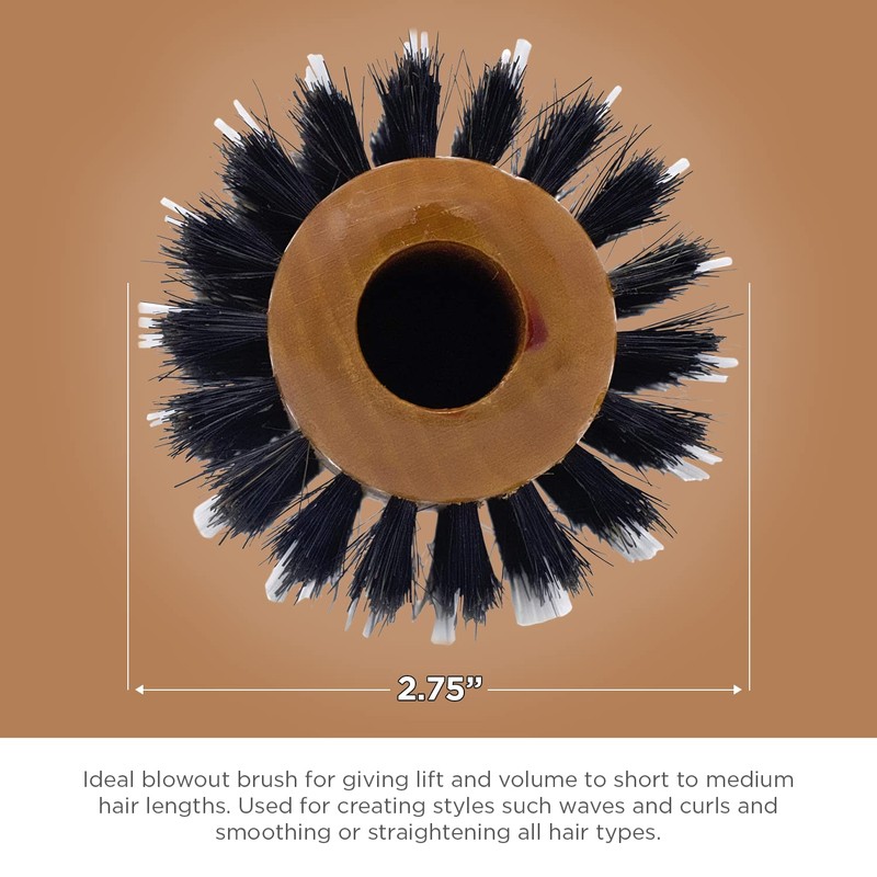 Spornette Boar Bristle Hair Brush for Women - Porcupine 2.75