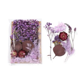 Real Dried Flowers for Crafts, Natural Dry Flowers for Crafts Mixed Natural Pressed Flowers, Small Dried Flowers for Resin Dry Flowers for Candle Making (Purple 2)