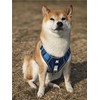 SEVENPENCE Dog Harness No Pull Pet Vest Harness with 2