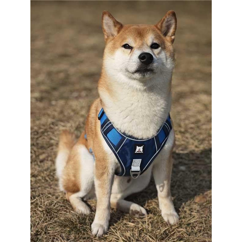 SEVENPENCE Dog Harness No Pull Pet Vest Harness with 2
