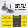 WENORA 4 Pcs Wire Cup Brush Set for Drill, 1/4