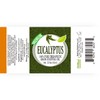 Healing Solutions 10ml Oils - Eucalyptus Essential Oil - 0.33