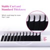 Eyelash Extensions 0.10mm Individual Lashes C Curl 15-20mm Mixed Tray