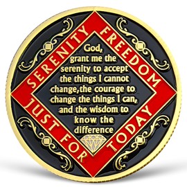 25 Year NA Medallion Twenty Year Recovery Chip for NA AA 12 Step Narcotics Anonymous Coin Anniversary Token Clean and Sober Gifts for Men Women Celebrating Sobriety and Addiction Recovery