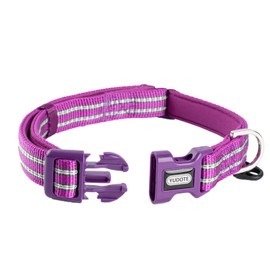 Petiry Reflective Nylon Dog Collar with Soft and Comfortable Neoprene Padding,Adjustable for Small Dogs.(9.8"-15",Purple)