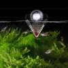 WEAVERBIRD Cone Red Worm Feeder Acrylic V-Shape Shrimp Fish Tank