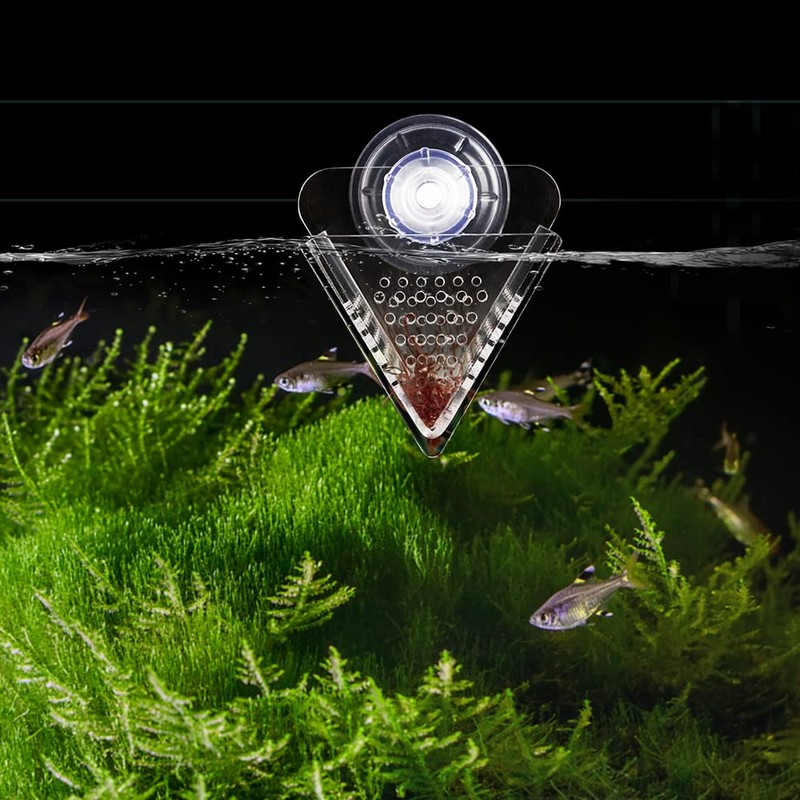 WEAVERBIRD Cone Red Worm Feeder Acrylic V-Shape Shrimp Fish Tank