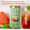 The Republic of Tea Iced Tea Watermelon Mint, 8 Count,