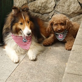 MEGA NOCKO Bandana Scarf for Dogs and Cats, Striped Sailing Anchor Sturdy Dog Collar Nylon Collar Washable with Adjustable Neck Size Pet Cat Collar in Red or Blue