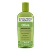 Hollywood Beauty Olive Oil ScalpTreatment, 8 oz (Pack of 4)