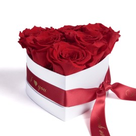 ROSEMARIE SCHULZ Heidelberg Infinity Heart Shaped Rose Box Preserved Roses Gift for Women (I Love You, Red)