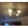 SHENGQINGTOP 4 Pack Clear & Frosted Glass Lamp Shade Replacement