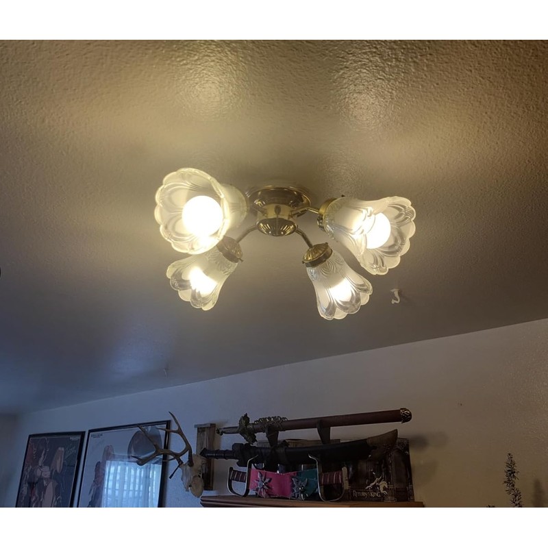 SHENGQINGTOP 4 Pack Clear & Frosted Glass Lamp Shade Replacement