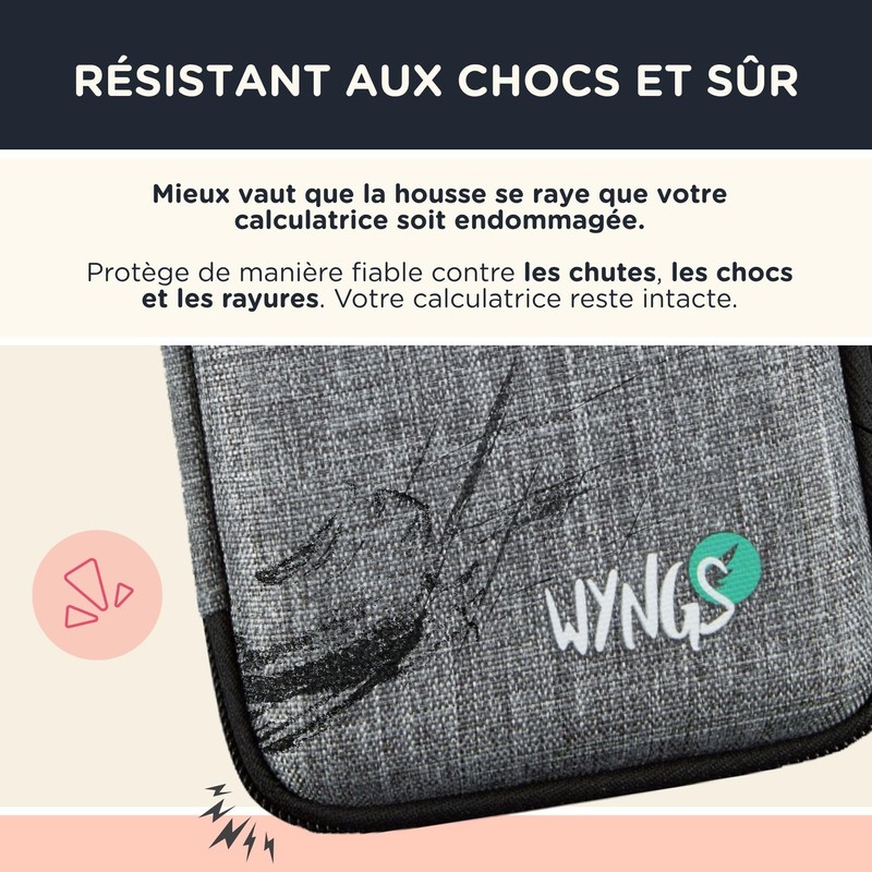 P-WYNGS case-new