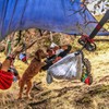 Grand Trunk Tree Trunk Straps - Hammock Suspension System with