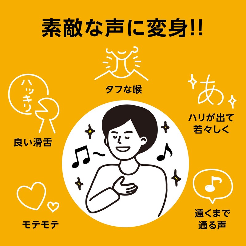 PROIDEA Voice Training Goods UTAET Ultra Voice