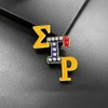 Exquisite SIGMA GAMMA RHO Sorority Society SGR Letter Enamel Metal