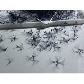 LASH BY HOLLY 10D pre-made (hand made) fan lashes (500 fans/tray) for eyelash extension, C curl, D curl and M curl, 0.05 thickness, length from 10 mm - 17 mm (D10 mm 10D)