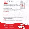 SiLicium Bloom Nutrient Uptake Enhancer for Blooming/Fruit