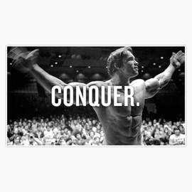 Arnold Schwarzenegger CONQUER Icon! Bumper Sticker Vinyl Decal 5 inches