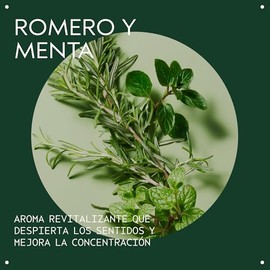 Aveda Rosemary Mint Acondicionador Ligero | Cabello Fino a Graso | Desenreda y Combate la Estática Sin Apelmazar | Aroma Energizante de Menta y Romero Orgánicos | 97% Natural