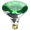 Westinghouse Green 0441300, 100 Watt, 120 Volt Incandescent BR38 Light