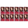 Revlon (Pack of 12) - (1 BOX) Revlon ColorSilk Hair