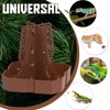 Fischuel Chameleon Feeding Bowl for Reptile Terrarium, Climbable Design for