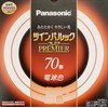 Panasonic Twin Park Premier Round Lightbulb