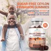 Sugar-Free Ceylon Cinnamon Gummies (2,000mg/Serving) Joint Pain Support Cinnamon Supplement