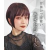 AQUADOL wg357B3 Wig, Short Bob, Tight Straight Inner Color, High