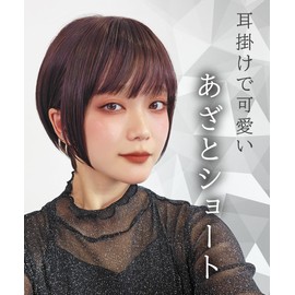 AQUADOL wg357B3 Wig, Short Bob, Tight Straight Inner Color, High Tone, Full Wig, One Size Fits Most, B3. Cafe Brown