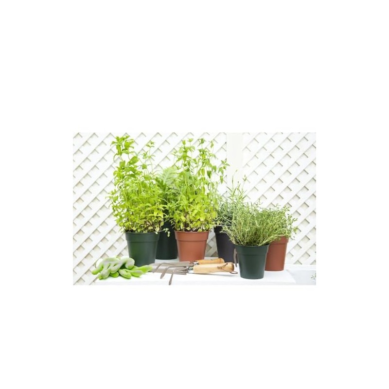 Artevasi Madagascar Pot, Anthracite, 21 cm