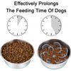 KOMPORY Plato para Perro Alimentación Lenta, Cuenco de Comida Lenta