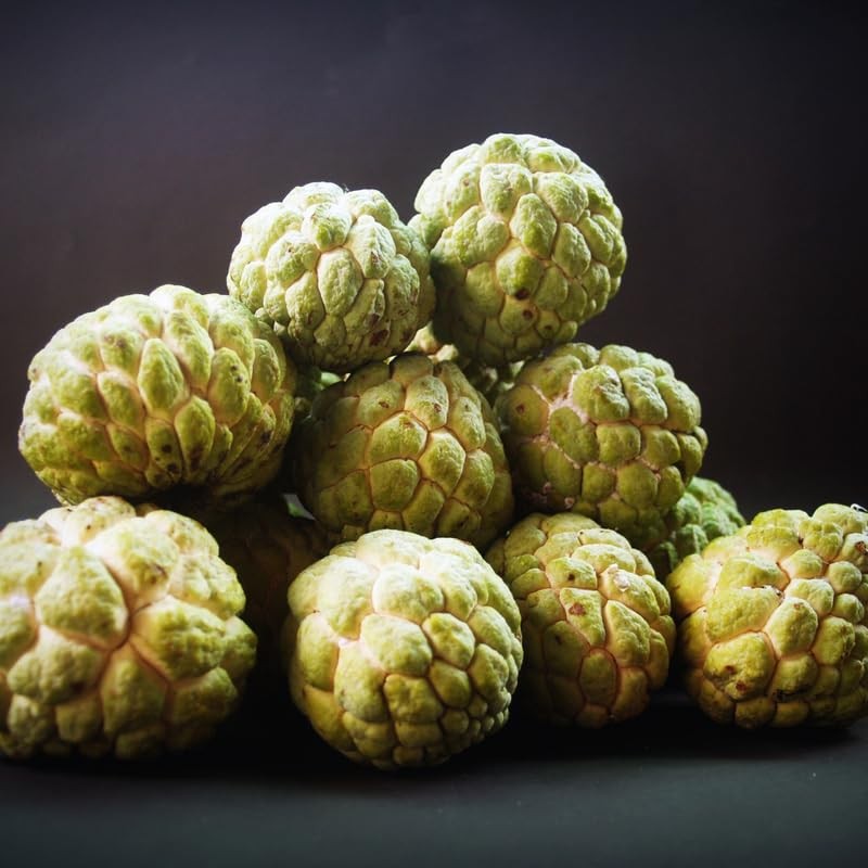 12 Sugar Apple Tree Seeds, Sweetsop Fruit Seeds, Sugar Apple