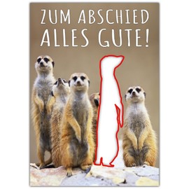 A4 XXL Farewell Card Meerkman Away with Envelope - Folding Card for Colleagues for Retirement Pension Maternity Protection Job Change Retirement Card from BREITENWERK