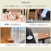 Ise - Miyachu - Purifying Salt Shinto Shelf, Offering Salt