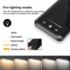 White crown LED Desk Lamp Dimmable Table Lamp Reading Lamp