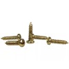 C. B. Gitty 100pc. #2 x 3/8ths-inch Brass-plated Phillips Round