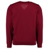 Maerz Men's V-Neck Long Sleeve Jumper, Red (495), Medium (Manufacturer