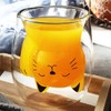 XiXiRan Double-walled glasses, insulated glasses, cute cups, tea glass, coffee